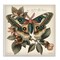 Stupell Industries Green Patterned Moth Wall Plaque Art Design by Steve Huntziker